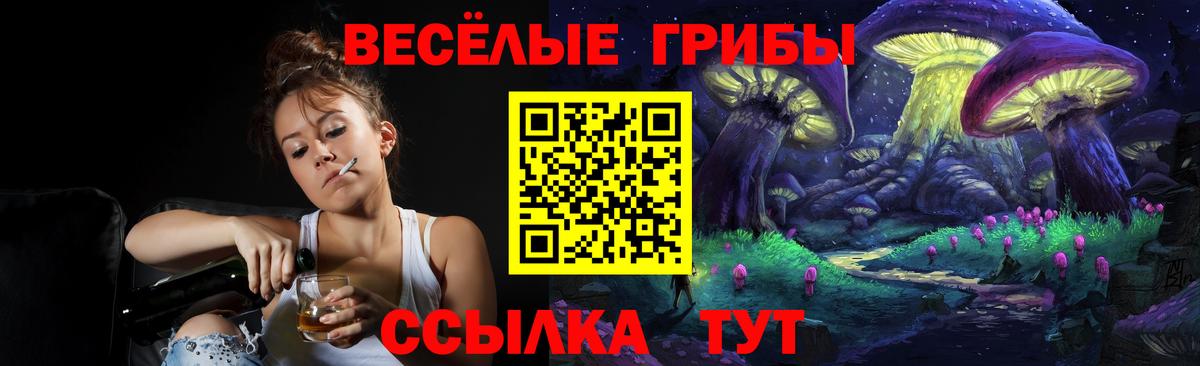 Кемерово  Псилоцибиновые грибы Psilocybine cubensis  Вход с VPN  Галлюциногенные грибы мухоморы 